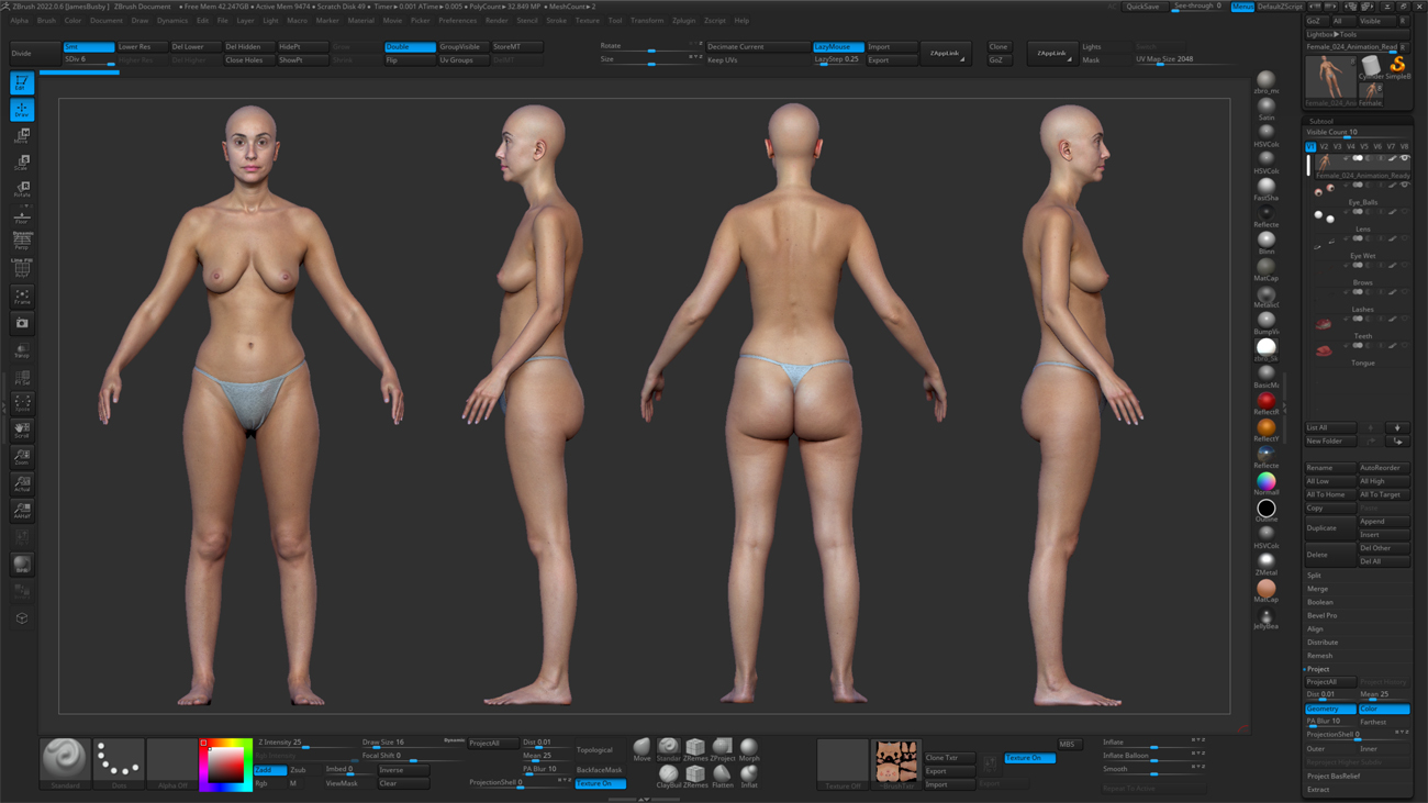 ZBrush ZTool render of a female 3D body scan at high subdivision showing sculpt-ready quad mesh geometry
